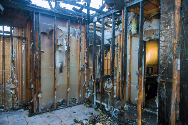 Professional Fire Damage Removal technician working in New Mexico, NM